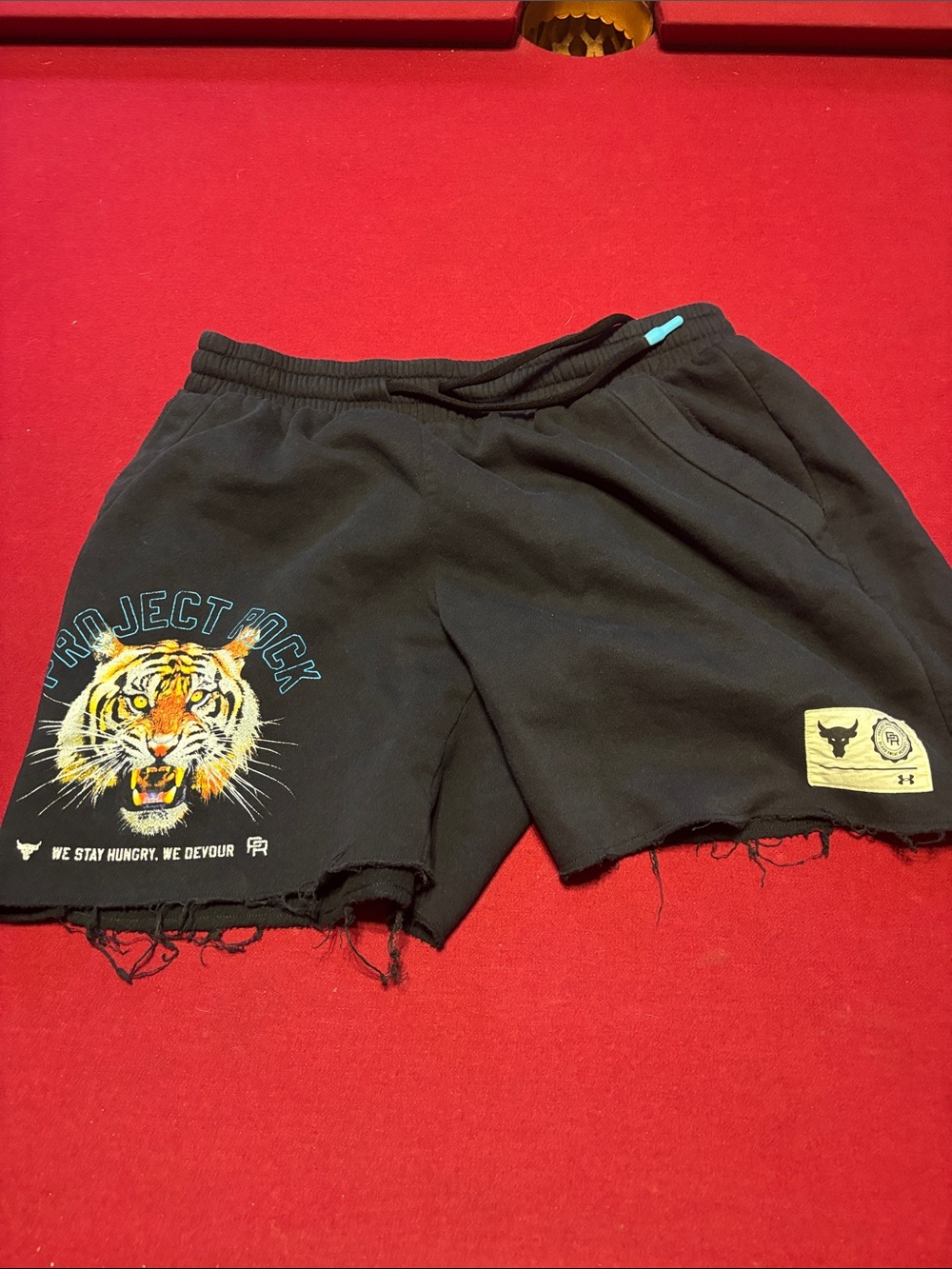 Project rock under  Armour Black Men’s Athletic Shorts